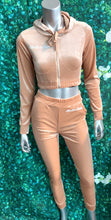 Load image into Gallery viewer, VELOUR JOGGERS SET
